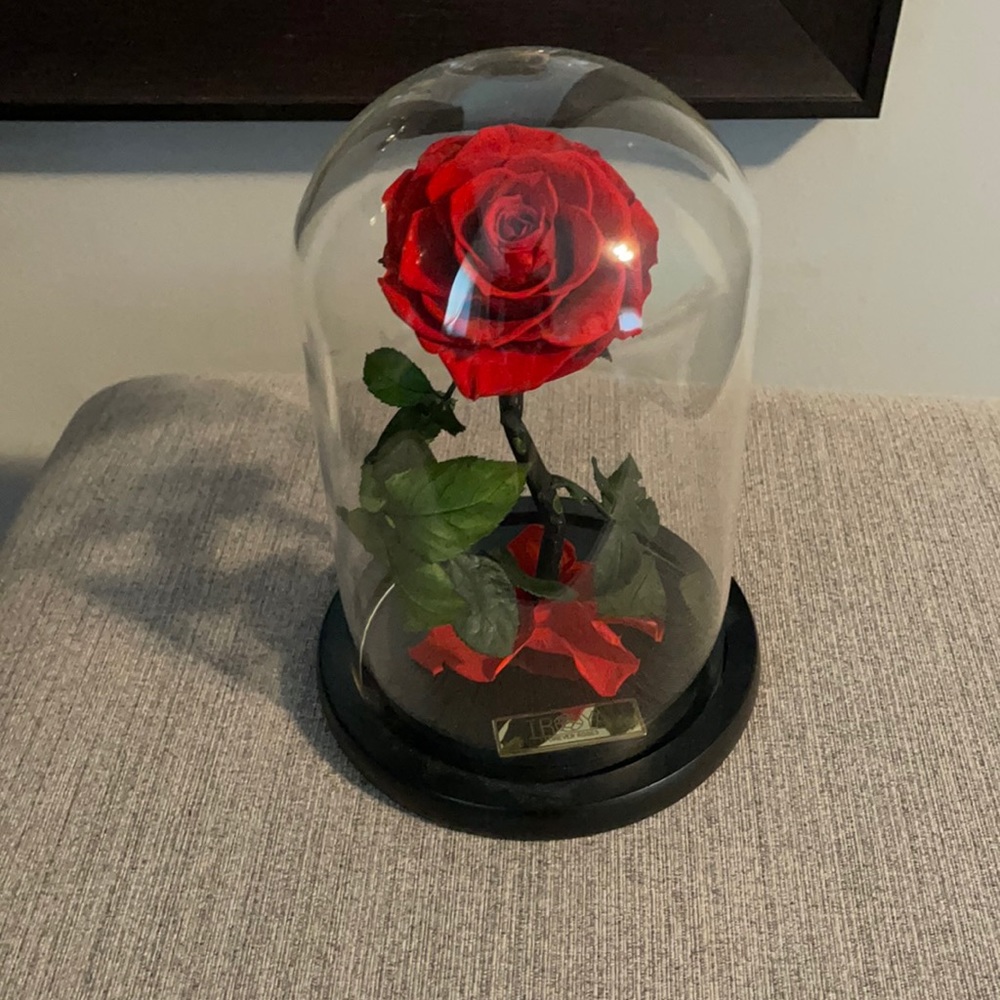 Eternity roses